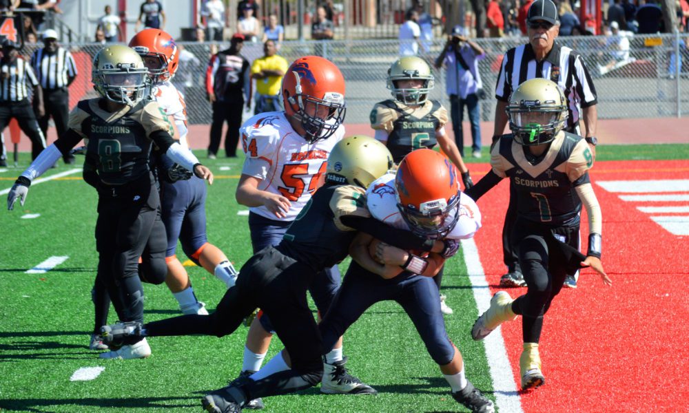 YOUTH FOOTBALL TYFSF City Championships Results