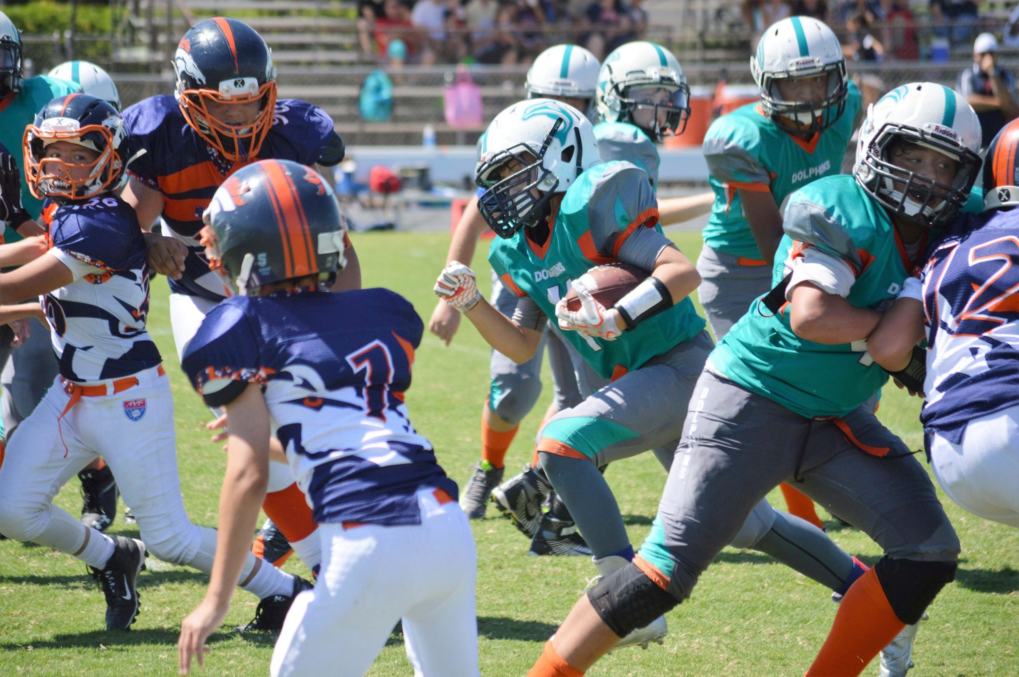 dolphins youth football