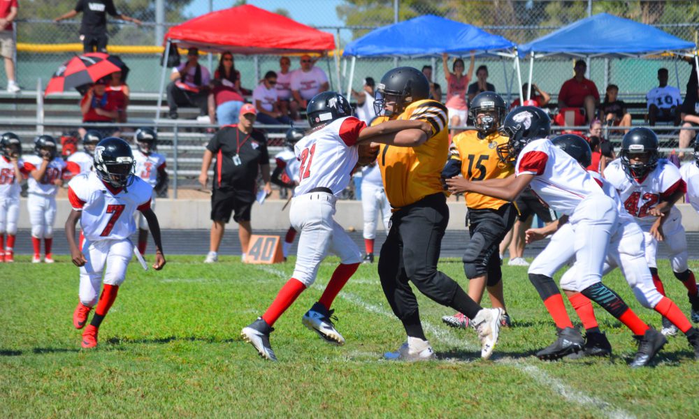 YOUTH FOOTBALL: 11U Falcons over Steelers to remain undefeated