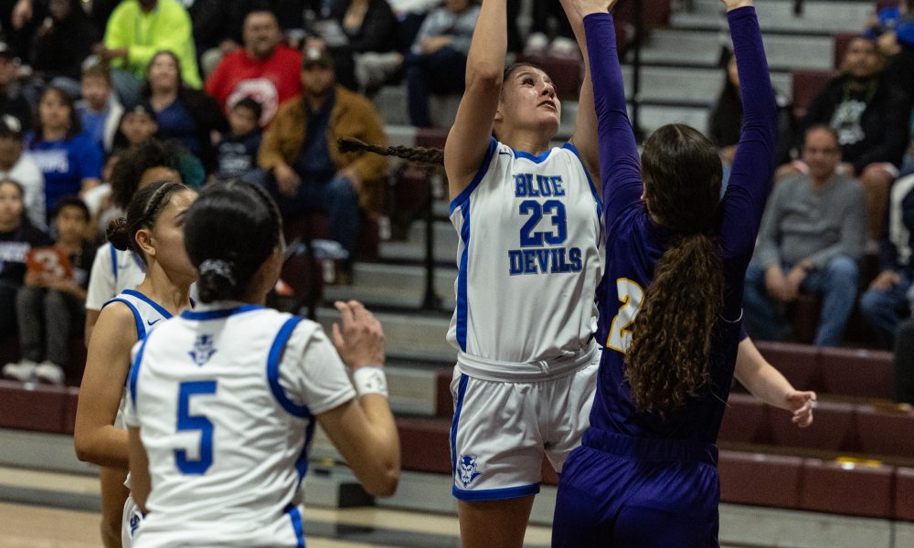 NOTEBOOK: Sunnyside Girls Hoops Out Of Open Division Playoffs But Top ...