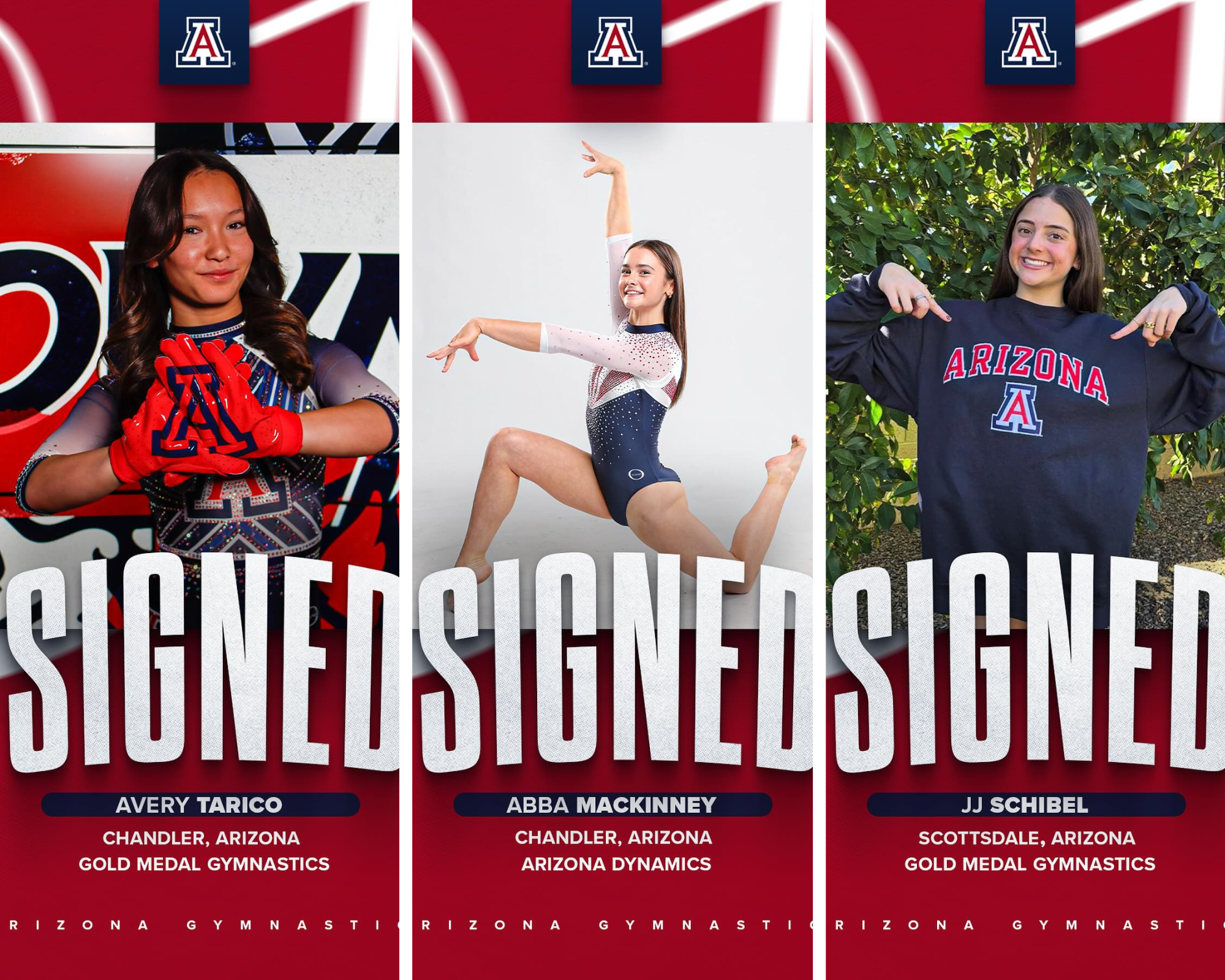 GymCat signees from The Valley excited for culture at Arizona